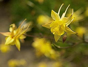 NS游戏《角落小伙伴 在房间角落旅行》公布最新中文PV 